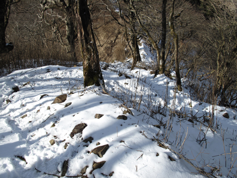 20160218hike (472)